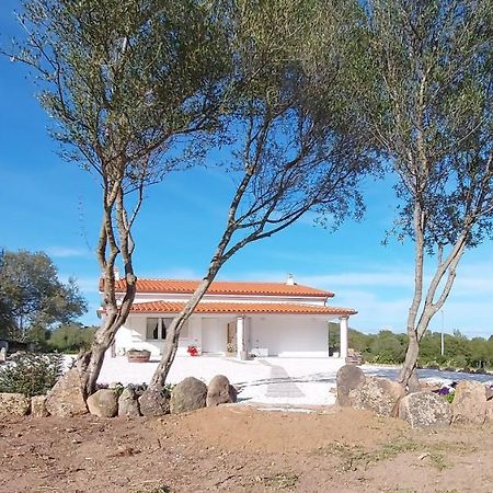 Casa Vacanze Olbia - Alebea - エクステリア 写真