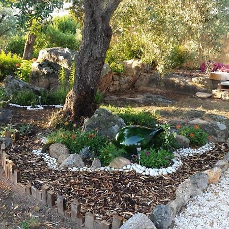 Casa Vacanze Olbia - Alebea - エクステリア 写真