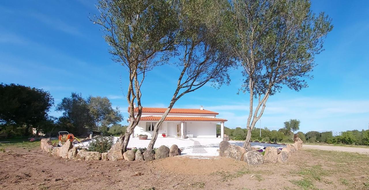 Casa Vacanze Olbia - Alebea - エクステリア 写真
