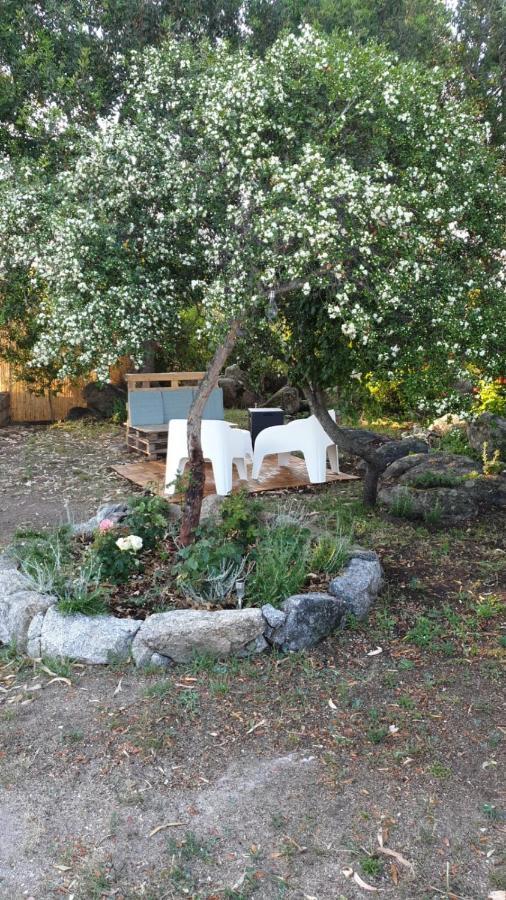 Casa Vacanze Olbia - Alebea - エクステリア 写真