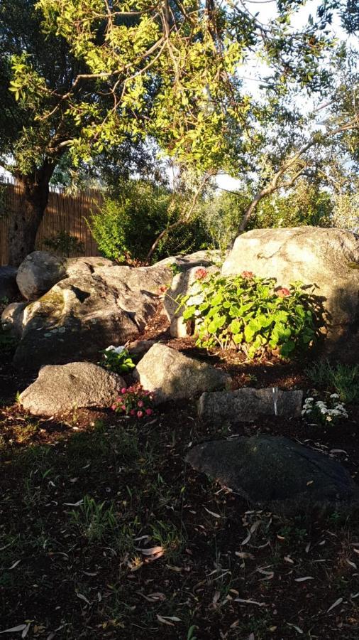 Casa Vacanze Olbia - Alebea - エクステリア 写真