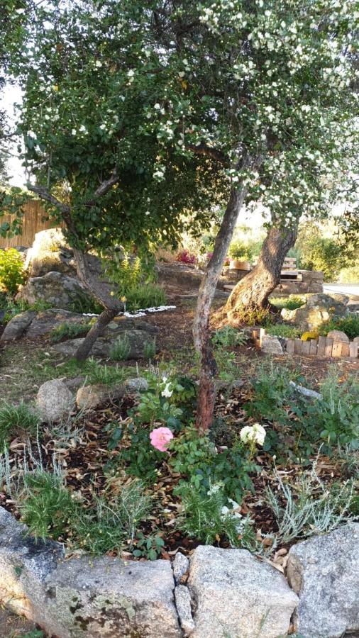 Casa Vacanze Olbia - Alebea - エクステリア 写真