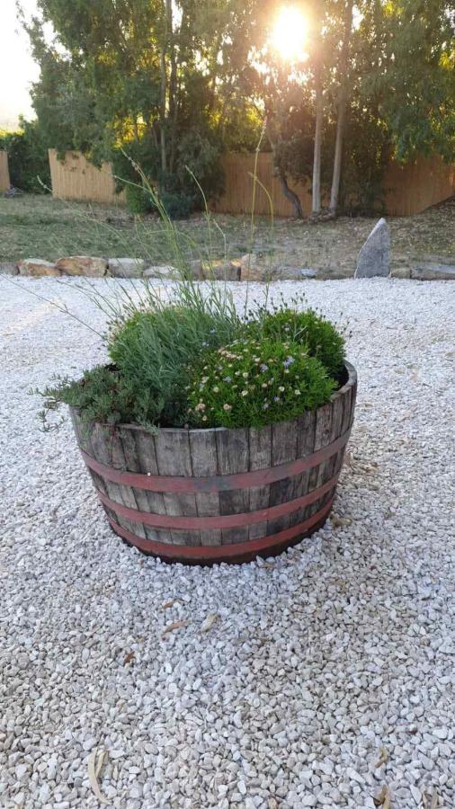 Casa Vacanze Olbia - Alebea - エクステリア 写真